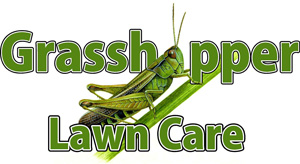 Grasshopper Lawn Care Services, LLC, Lawn Care, Hardscape and Junk Removal